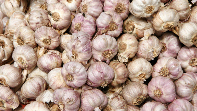 Pakistani garlic
